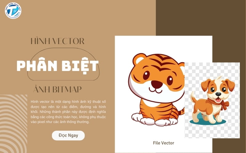 Hình Vector Là Gì? Phân Biệt Ảnh Bitmap Và Vector Chuẩn